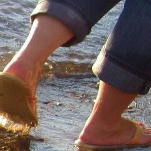 Meet your Posher, Denise